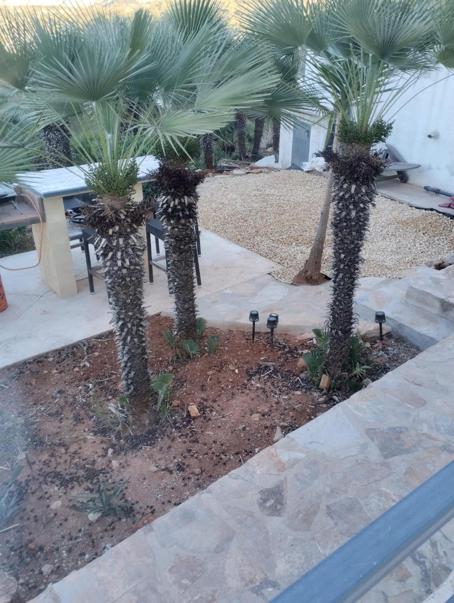 Luxe Appartement Met Tuin Benidoleig エクステリア 写真