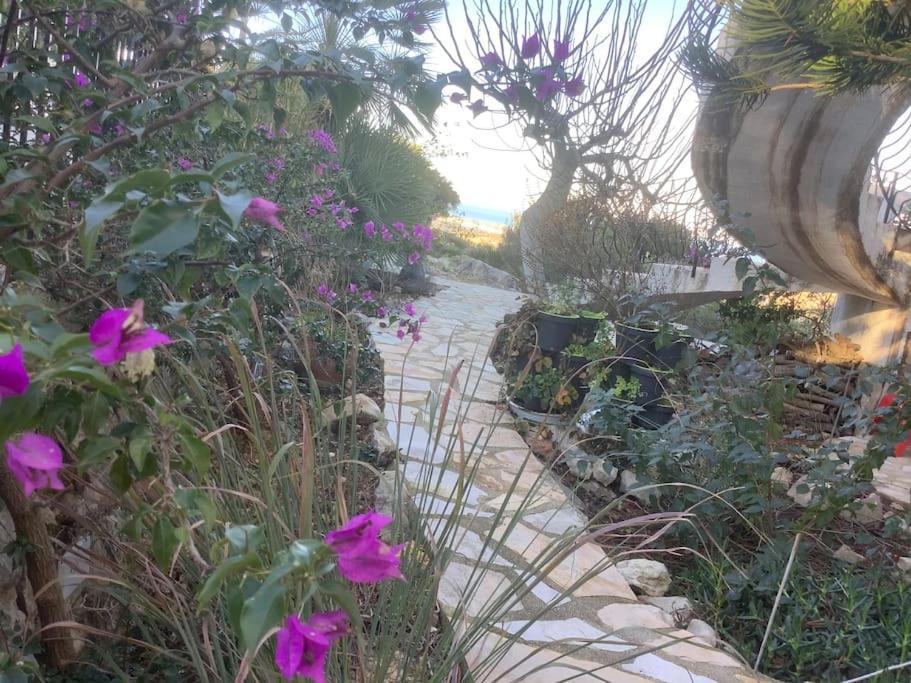 Luxe Appartement Met Tuin Benidoleig エクステリア 写真